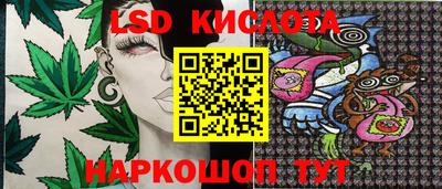 ешки Краснознаменск