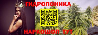 гидра Краснодар