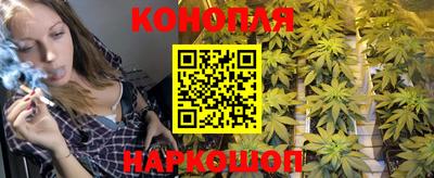ешки Краснознаменск