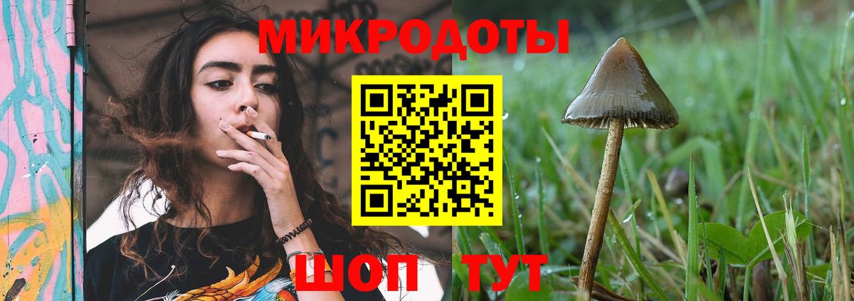 где можно купить наркотик  Псилоцибиновые грибы Magic Shrooms  Вход с VPN  Шали 