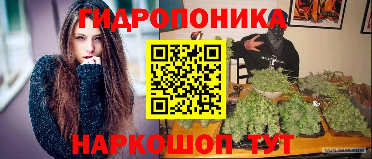 Канабис Bruce Banner Шали